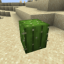 Dusty Cactus server icon