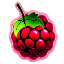 MCRaspi.com server icon