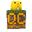 QuackCraft SMP server icon