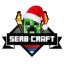 SERB-CRAFT Network server icon