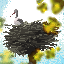 Ligzda server icon