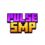 PulseSMP server icon