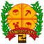 Mapucraft server icon