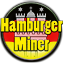 Hamburger Miner server icon
