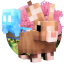 Rabbit Network server icon
