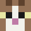 GullyCraft server icon