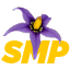 NightshadeSMP server icon