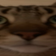 TigerSMP server icon