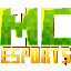 Minecraft Esports server icon