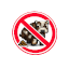 No BS SMP server icon