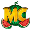 Melon Cloud server icon