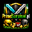 Primesurvival.pl server icon