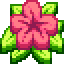 HibiscusMC server icon