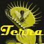Terra Incognita server icon