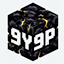 9Y9P server icon