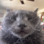Internal SMP server icon