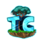 TogetherCraft server icon