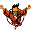 Baratel Networks server icon