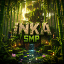 INKA SMP server icon