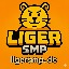LigerSMP server icon
