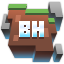 Blockheads server icon