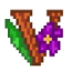 Valley of The Viola server icon