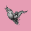 Ravenstale Survival server icon