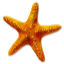 MC Beach Club server icon