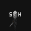SkullHavean server icon
