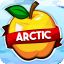 ArcticMC (EU) server icon