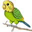 BudgieNet server icon