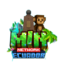 MinEcuador Network server icon