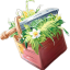 Survival Fun server icon