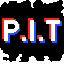 PIT True Anarchy server icon