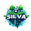 SilvaMC server icon