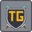 TownGuardian server icon