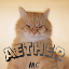 AetherMC server icon