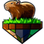 CapybaraCraft server icon