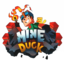 MineDuck NetWork server icon