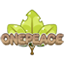 One Peace server icon