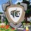 Townscraft server icon