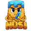 NUSI server icon