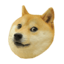 Dogeian Minecraft Server server icon