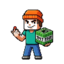 SignalSMP server icon