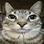 Anikuro server icon