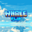 WhaleMC Network server icon